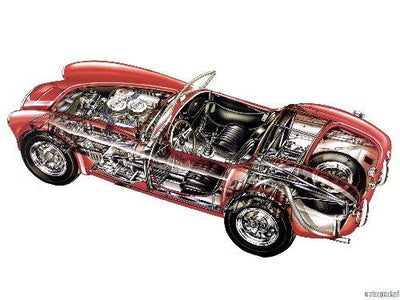 Ac Cobra Cutaway Metal Print 8in x 12in The Poster Depot