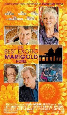 The Best Exotic Marigold Hotel Mini Metal Movie Poster 8in x 12in The Poster Depot