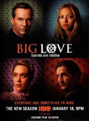 Big Love Metal Print 8in x 12in