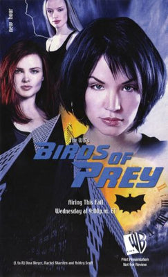 Birds Of Prey 11x17 poster Large for sale cheap United States USA