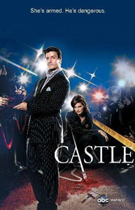 Castle poster tin sign Wall Art