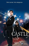 Castle poster tin sign Wall Art