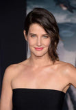 Cobie Smulders poster tin Metal Print Wall Art