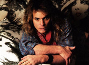 David Lee Roth poster tin sign Wall Art