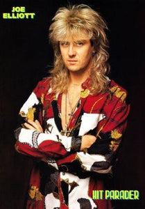 Joe Elliott poster tin sign Wall Art