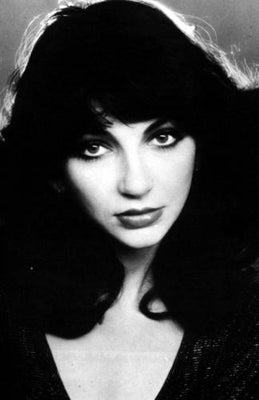 Kate Bush Metal Poster Wall Art 8in x 12in 12"x16" The Poster Depot