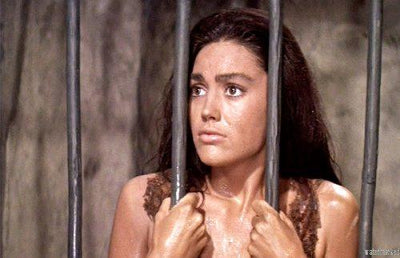 Linda Harrison Apes Metal Print 8in x 12in