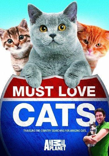 Must Love Cats Mini movie poster Sign 8in x 12in