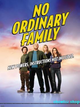 No Ordinaryf Amily Tv Metal Print 8in x 12in