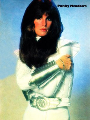 Punky Meadows Mini Poster 11x17 #01