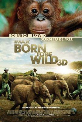 Born To Be Wild Photo Sign 8in x 12in