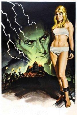 Frankenstein Created Woman Photo Sign 8in x 12in