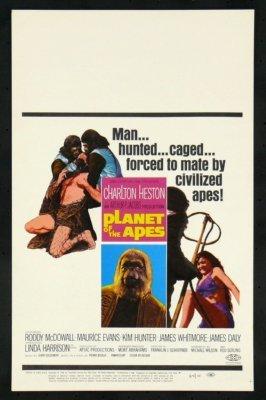 Planet Of The Apes Metal Print 8in x 12in
