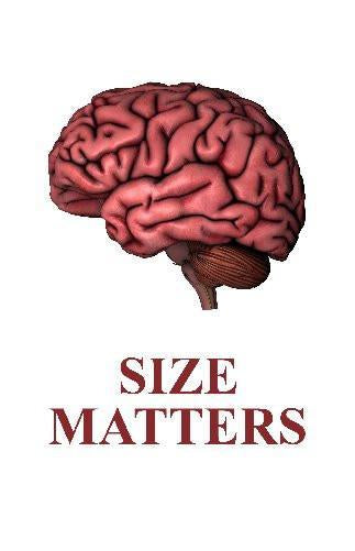 Human Brain Size Matters Art poster tin sign Wall Art