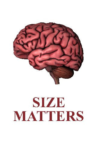 Human Brain Size Matters 11inx17in Mini Art Poster