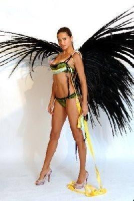 Adriana Lima Metal Poster Choose Style The Poster Depot