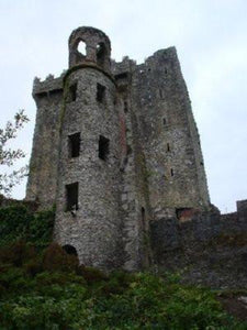 Blarney Castle poster tin sign Wall Art