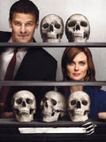 Bones poster tin sign Wall Art