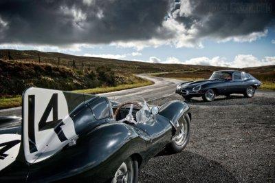 Jaguars Metal Poster Choose Style | The Poster Depot The Poster Depot