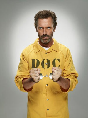 House Poster 24x36 Hugh Laurie The Poster Depot