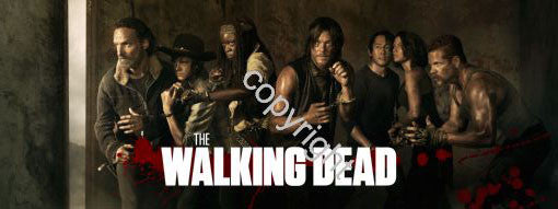 The Walking Dead Poster Scroll Banner 36x14