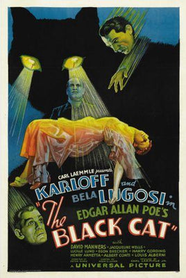 Black Cat Poster On Sale United States