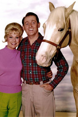 Mr. Ed poster for sale cheap United States USA