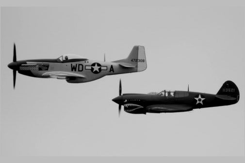P40 P51 Poster Mustang Military Airplanes 24x36
