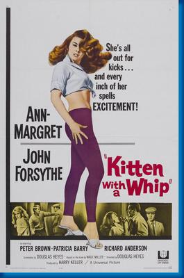 Kitten With A Whip Poster