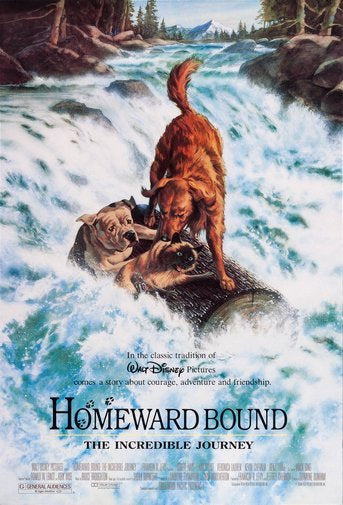 Homeward Bound poster for sale cheap United States USA