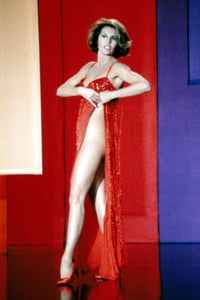Cyd Charisse Poster 24inx36in Poster