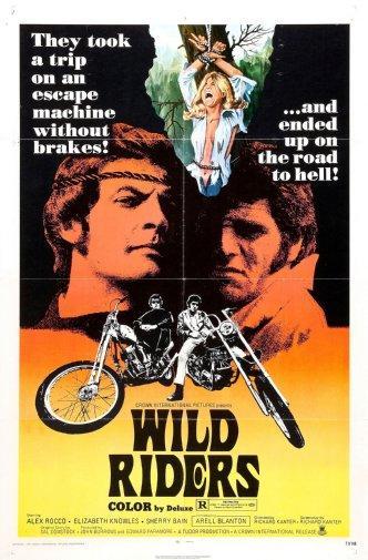 Wild Riders poster 16inx24in Poster