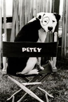 Little Rascals Petey Poster 24x36 24inx36in The Poster Depot