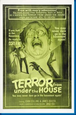 After Jenny Died poster 24x36 The Poster Depot