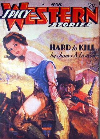 Pulp Fiction Novel Exploitation Art Poster spicy western storyes