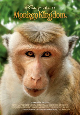 Monkey Kingdom poster 24in x36in The Poster Depot