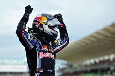 Sebastian Vettel poster 24in x 36in for sale cheap United States USA