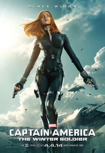 Captain America Winter Soldier Photo Sign 8in x 12in
