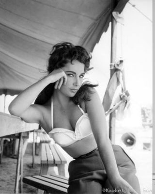 Elizabeth Taylor Poster 24x36 bw photo The Poster Depot