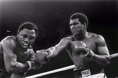 Frazier Vs. Ali Poster 24x36 The Poster Depot
