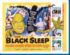 Black Sleep poster 