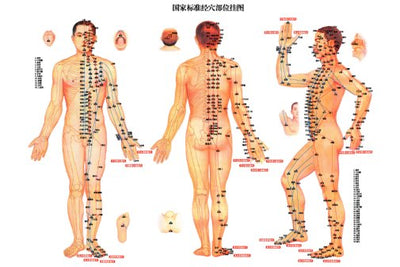 Acupuncture poster for sale cheap United States USA