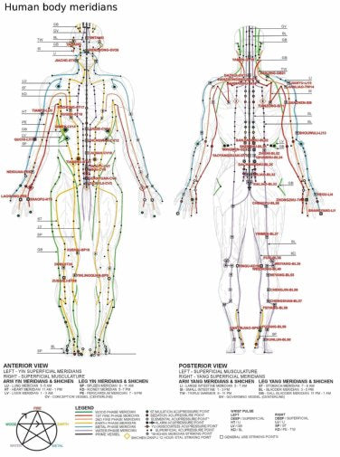 Acupuncture Human Body Meridians poster for sale cheap United States USA