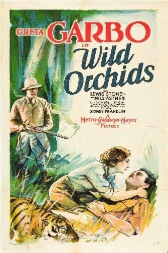 Wild Orchids Poster 16inx24in 