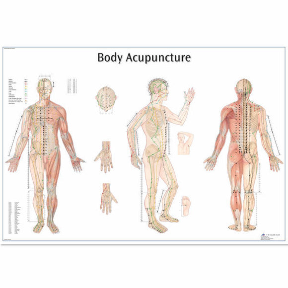 Other Subjects Posters, acupuncture