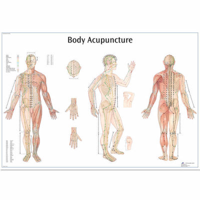 Acupuncture Metal Print 8inx12in The Poster Depot