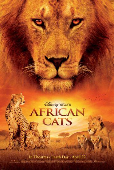 African Cats movie poster Sign 8in x 12in