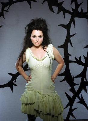 Amy Lee Metal Print 8in x 12in