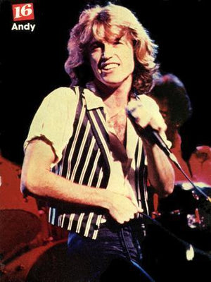 Andy Gibb Vintage 80'S Image poster tin Metal Print Wall Art