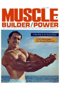 Arnold Schwarzenegger Poster 16"x24" On Sale The Poster Depot
